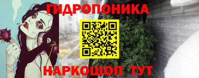 дживик Новодвинск